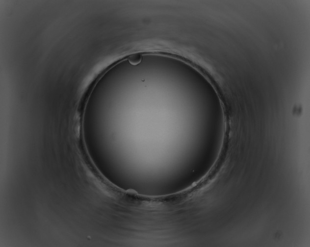 X0000091471509200708301842