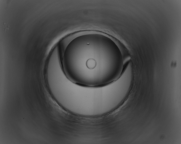 X0000091471510200708301842