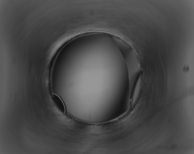 X0000091471511200708301842