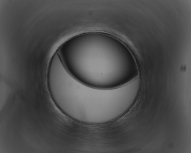 X0000091471512200708301842