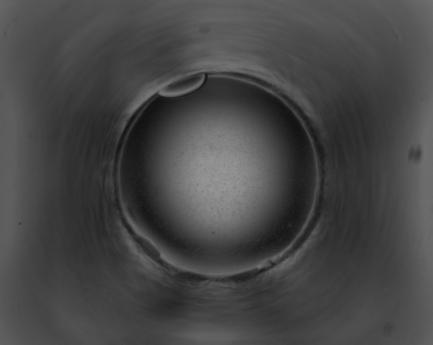 X0000091471513200708301842