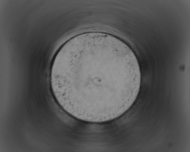 X0000091471514200708301842