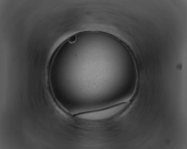 X0000091471517200708301842