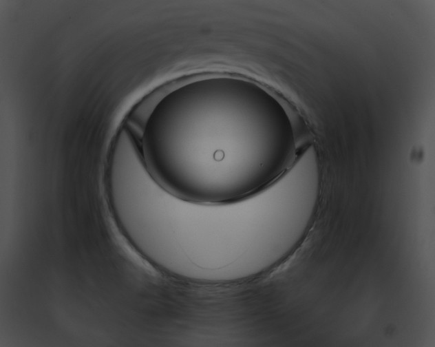 X0000091471518200708301842