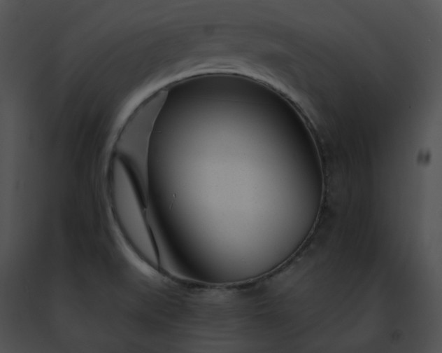 X0000091471519200708301842