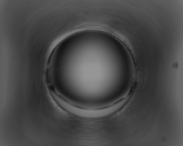 X0000091471520200708301842