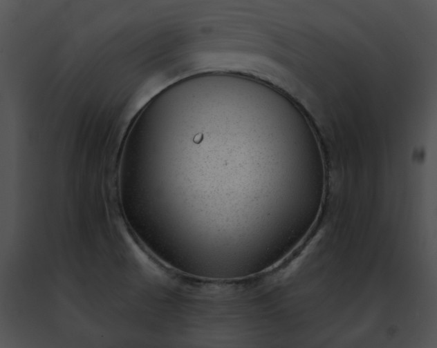 X0000091471521200708301842