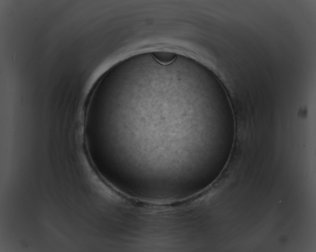 X0000091471522200708301842