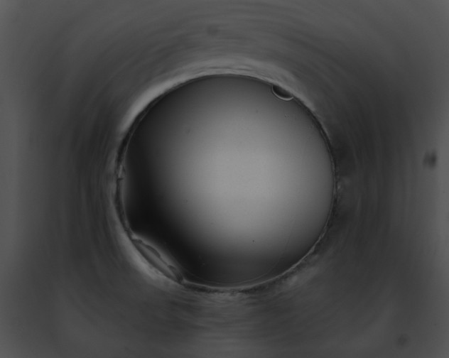 X0000091471523200708301842