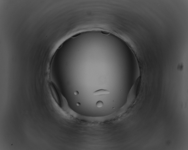 X0000091471524200708301842