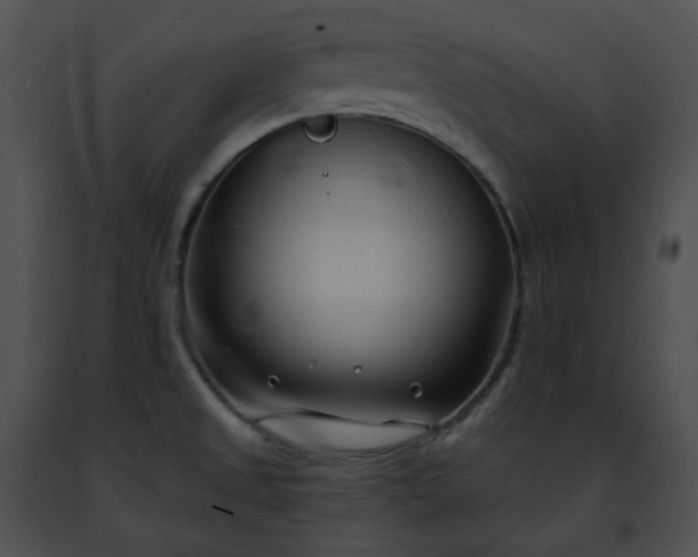 X0000091471525200708301842