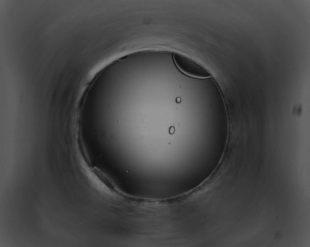 X0000091471526200708301842