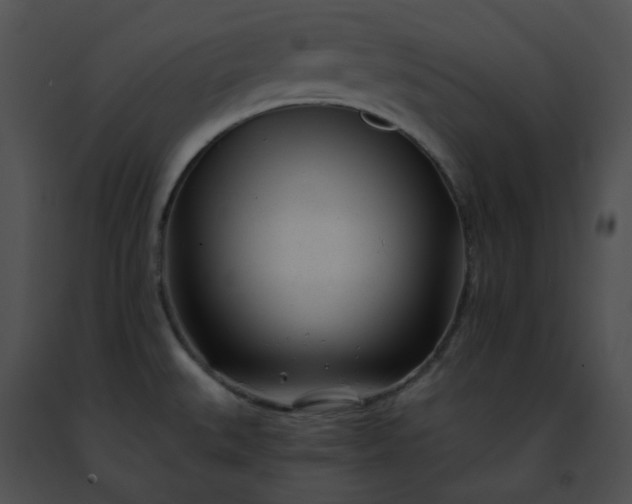 X0000091471527200708301842