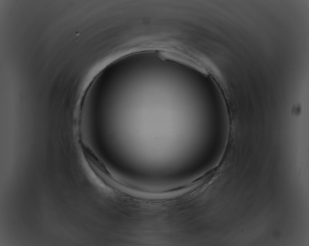 X0000091471528200708301842