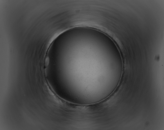 X0000091471529200708301842