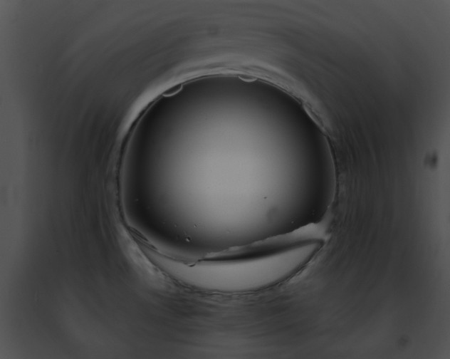 X0000091471530200708301842