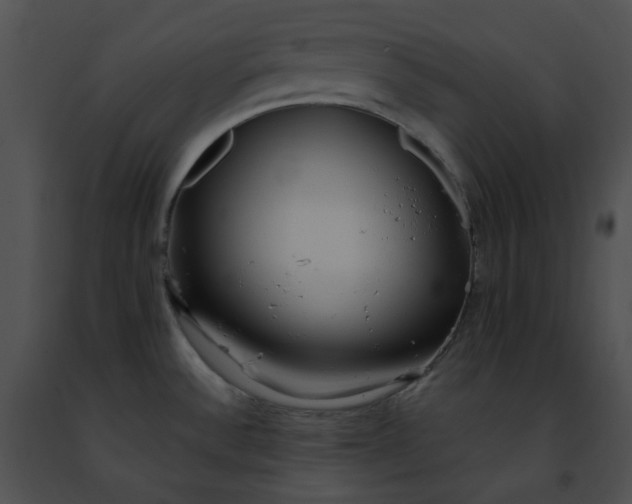 X0000091471532200708301842