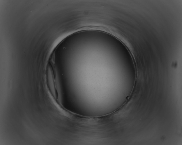 X0000091471533200708301842