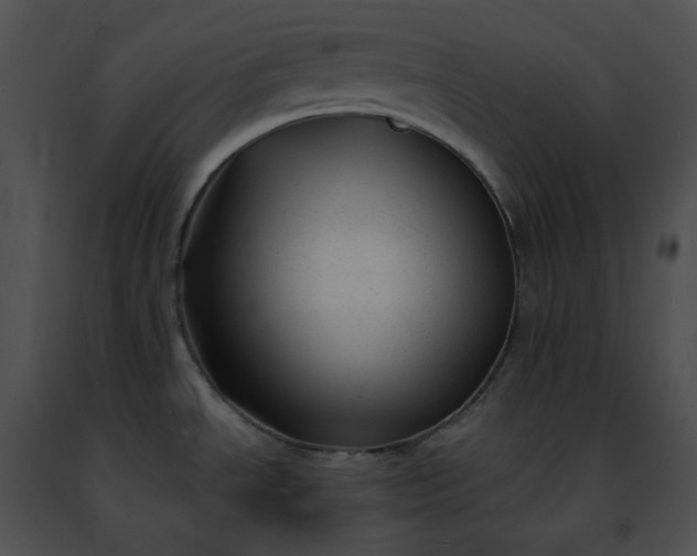 X0000091471534200708301842