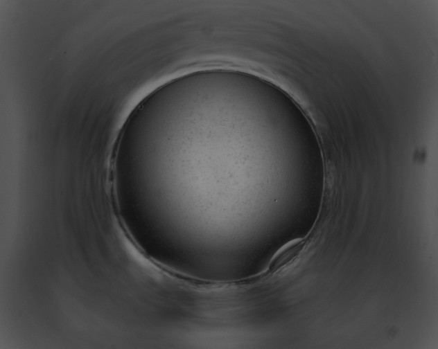 X0000091471535200708301842