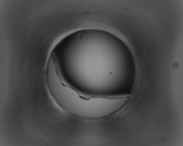 X0000091471536200708301842