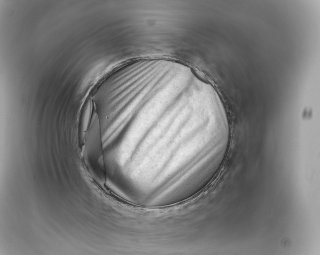 X0000091470002200709061828