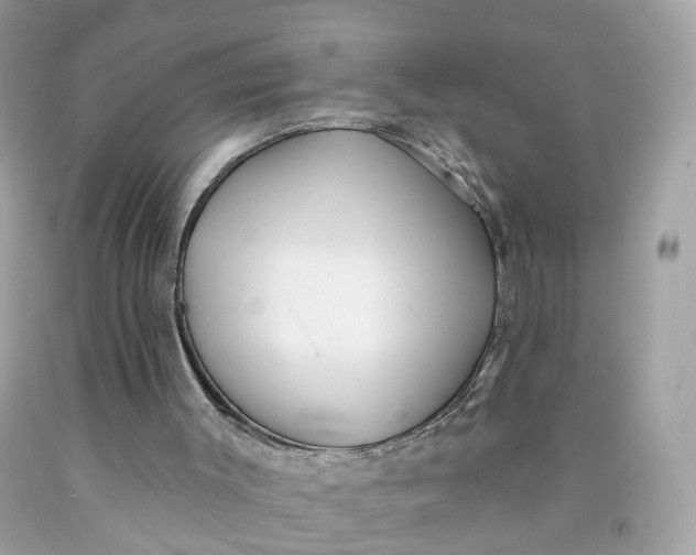 X0000091470003200709061828