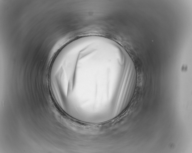 X0000091470004200709061828