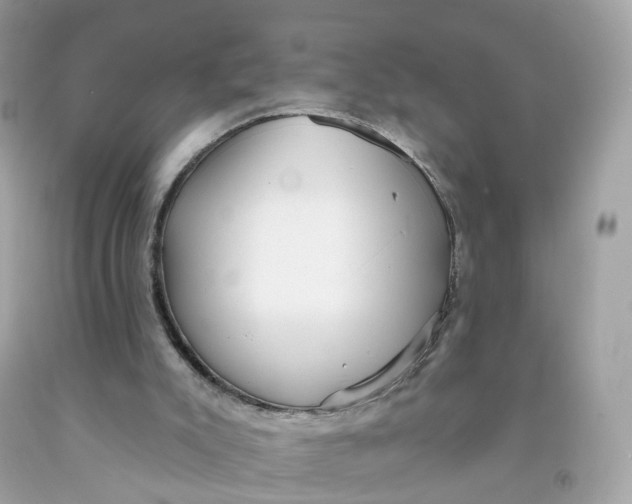 X0000091470007200709061828