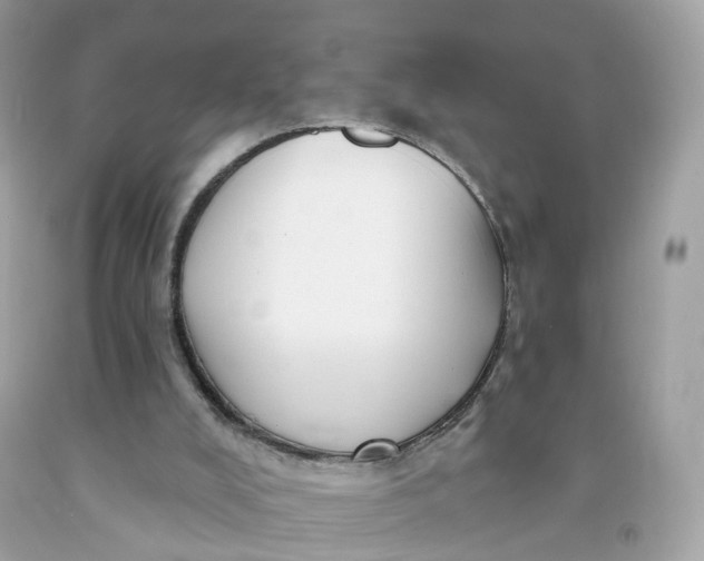 X0000091470008200709061828