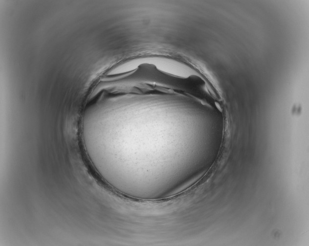 X0000091470010200709061828