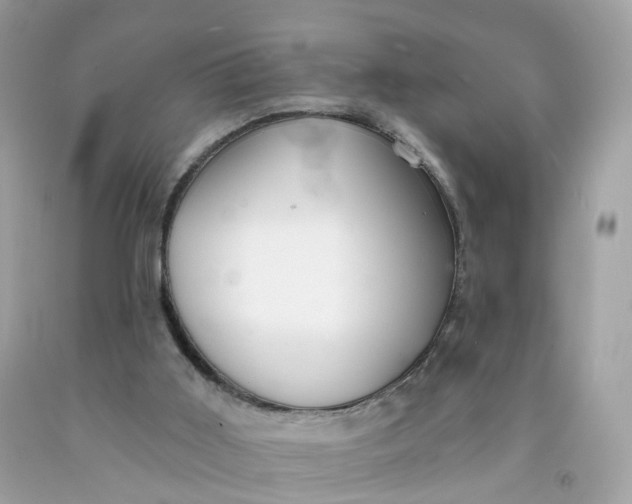 X0000091470011200709061828