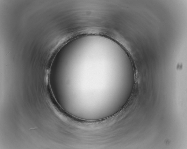 X0000091470013200709061827