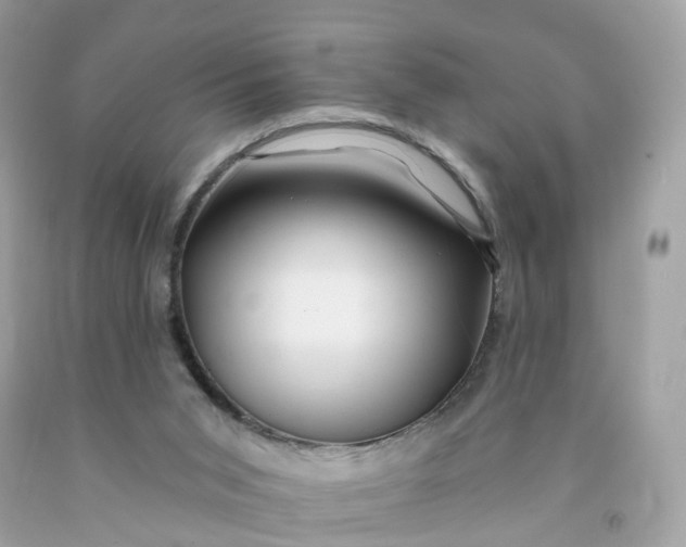 X0000091470015200709061827