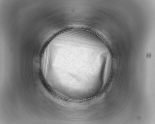 X0000091470016200709061827