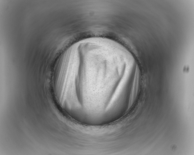 X0000091470018200709061827