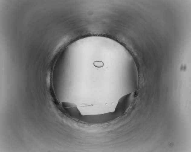 X0000091470019200709061827