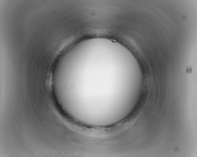 X0000091470024200709061827