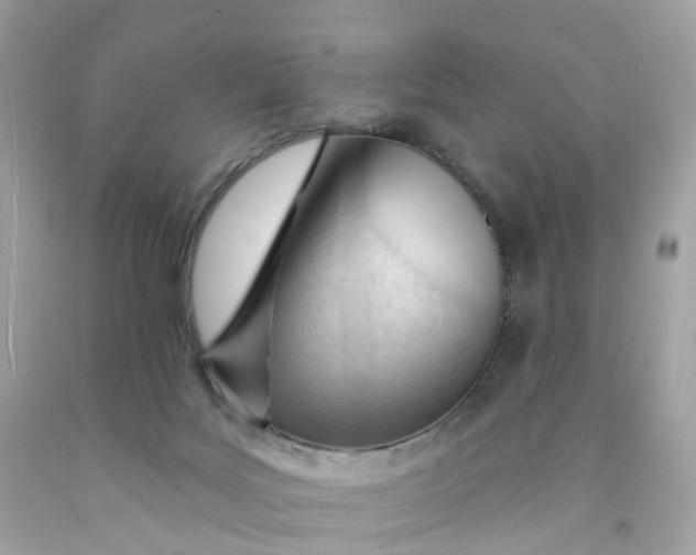 X0000091470027200709061827