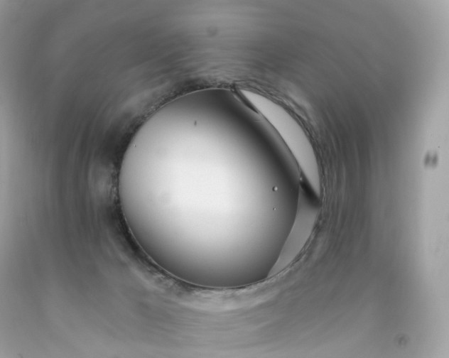 X0000091470029200709061827