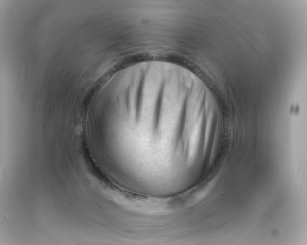 X0000091470032200709061827