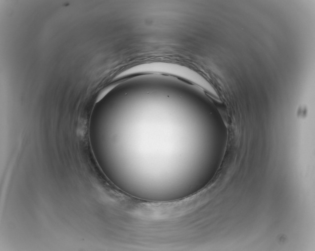 X0000091470033200709061827