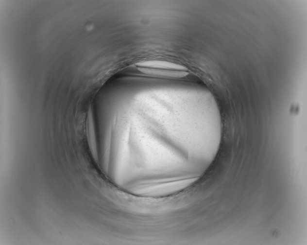 X0000091470034200709061827