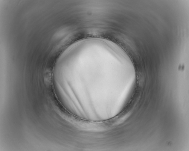 X0000091470036200709061827