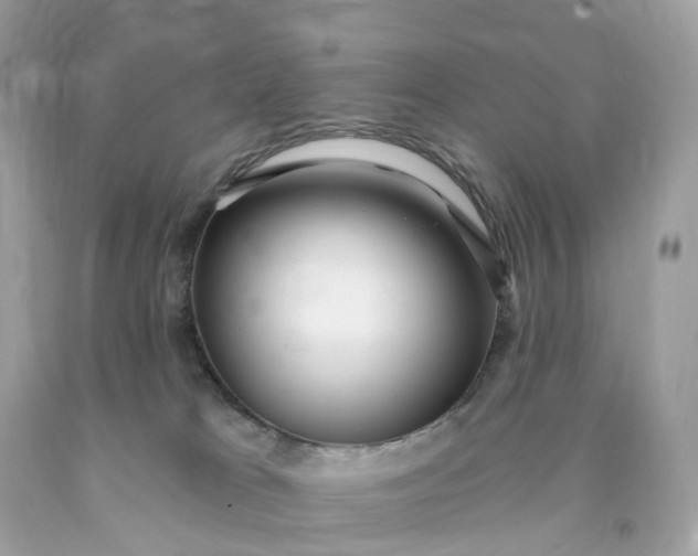 X0000091470037200709061827