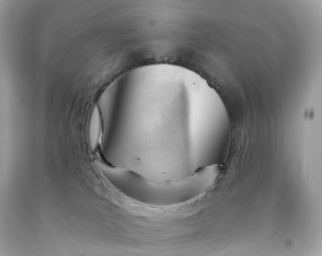 X0000091470039200709061827