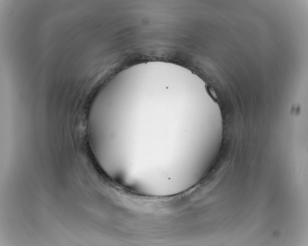 X0000091470040200709061827