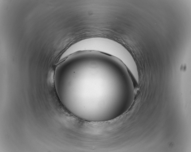 X0000091470041200709061827