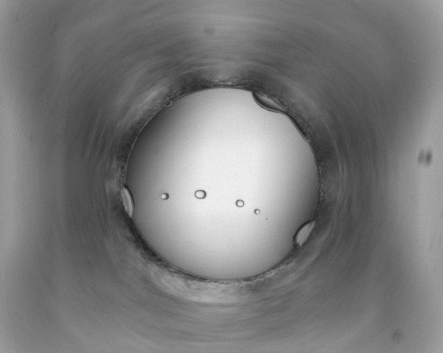 X0000091470044200709061827