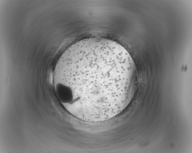 X0000091470046200709061827